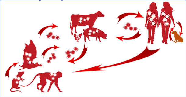 GTT Surveillance et Notifications