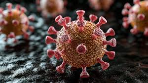 Fièvres hémorragiques virales (FHV)