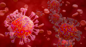 Les Virus Respiratoires : Virus de la grippe aviaire hautement pathogène, coronavirus SARS CoV et MERS CoV