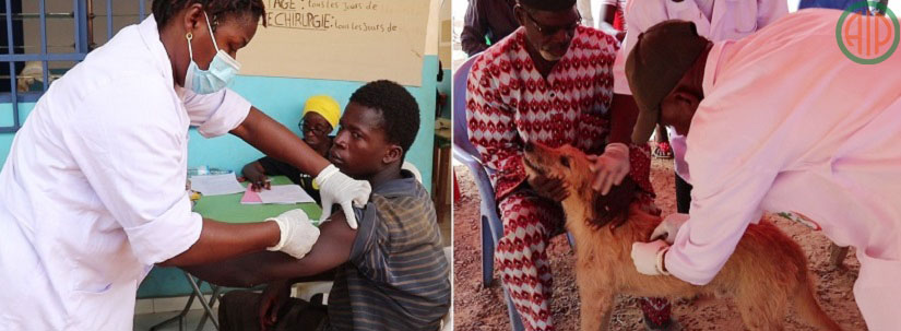 Lire la suite à propos de l’article Rage/Collaboration multisectorielle :  La vaccination de la population couplée à celle des animaux domestiques